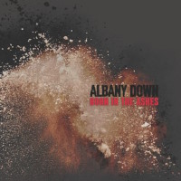 Albany Down Born in the Ashes Album Cover