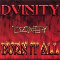 [Dvinity Burn It All Album Cover]