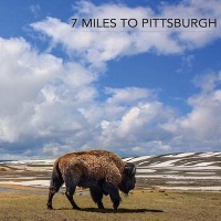 7 Miles to Pittsburgh 7 Miles to Pittsburgh Album Cover