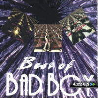 Bad Boy Best Of Album Cover