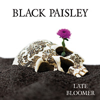 [Black Paisley Late Bloomer Album Cover]