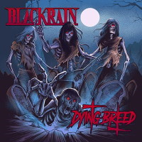 [BlackRain Dying Breed  Album Cover]