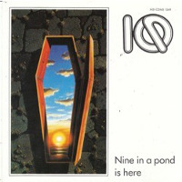 IQ Nine On A Pond Is Here Album Cover