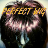 [Perfect Wig Perfect Wig Album Cover]