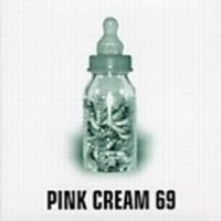 Pink Cream 69 Food for Thought Album Cover