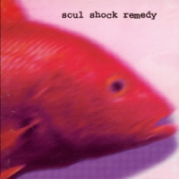 [Soul Shock Remedy Fisheye Lens Album Cover]
