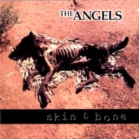 Angels From Angel City Skin and Bone Album Cover
