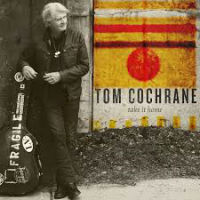 [Tom Cochrane Take It Home Album Cover]