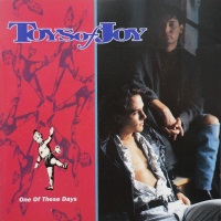 [Toys Of Joy One of These Days Album Cover]