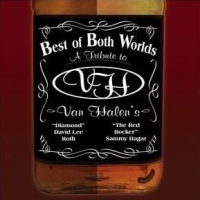 [Tributes Best of Both Worlds: A Tribute to Van Halen Album Cover]
