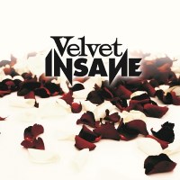 Velvet Insane Velvet Insane Album Cover