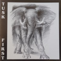 [Tusk First Album Cover]