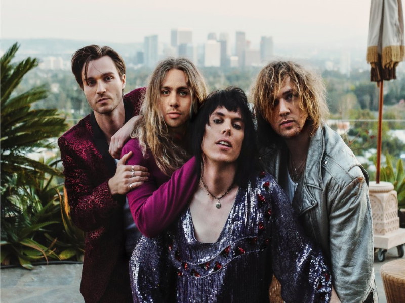 [The Struts Band Picture]