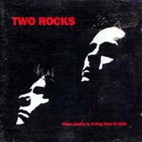 2 Rocks When Sanity is Acting Kind of Wild Album Cover