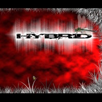 A Course Of Action Hybrid Album Cover