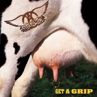 [Aerosmith Get a Grip Album Cover]