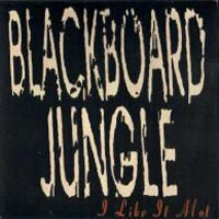 [BlackBoard Jungle I Like It Alot Album Cover]