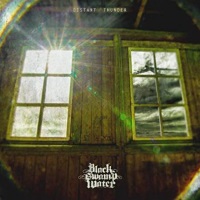 [Black Swamp Water Distant Thunder Album Cover]