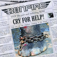 Bonfire Cry 4 Help  Album Cover