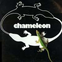 [Chameleon Chameleon Album Cover]