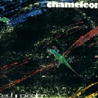 [Chameleon Techno-Color Album Cover]