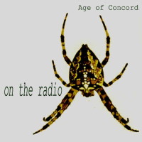 [Chris Antblad Age of Concord: On the Radio Album Cover]