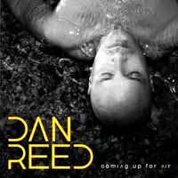 [Dan Reed Coming Up For Air Album Cover]
