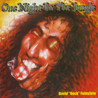 David Rock Feinstein One Night In The Jungle Album Cover