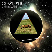 [Gov't Mule Dark Side Of The Mule Album Cover]