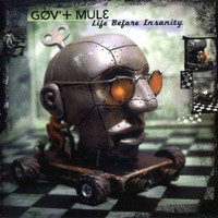 Gov't Mule Life Before Insanity Album Cover