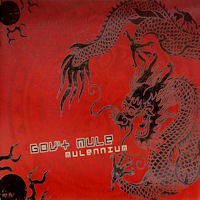 Gov't Mule Mulennium Album Cover