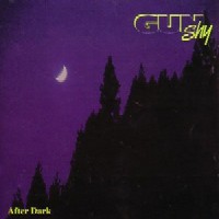 Gun Shy After Dark Album Cover