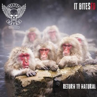 It Bites FD Return to Natural Album Cover