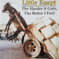 [Little Egypt The Harder It Gets, The Better I Feel Album Cover]