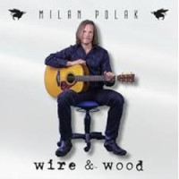 Milan Polak Wire and Wood Album Cover