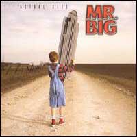 Mr. Big Actual Size Album Cover