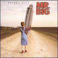 [Mr. Big  Album Cover]