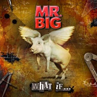 [Mr. Big  Album Cover]