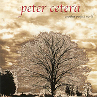 [Peter Cetera Another Perfect World Album Cover]