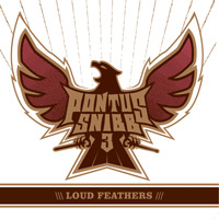 Pontus Snibb 3 Loud Feather Album Cover