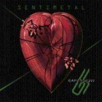 Gary Schutt Sentimental Album Cover