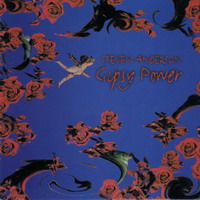 [Steven Anderson Gipsy Power Album Cover]