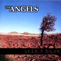 Angels From Angel City Skin and Bone Album Cover