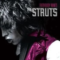 The Struts Everybody Wants Album Cover