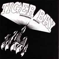 [Tiger Bay Endangered Species Album Cover]