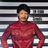 [Tim Feehan Carmalita Album Cover]