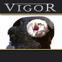 [Vigor Great Dreams Album Cover]