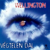 Wellington Vegtelen Dal Album Cover