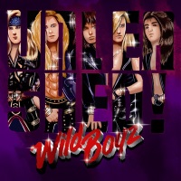 CD Wild Boyz Unleashed! ALCB621PROMO BRUNETTE プロモ /00110 Wild Boyz - Unleashed! CD. Heavy Harmonies Discography