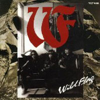 Wild Flag Wild Flag Album Cover